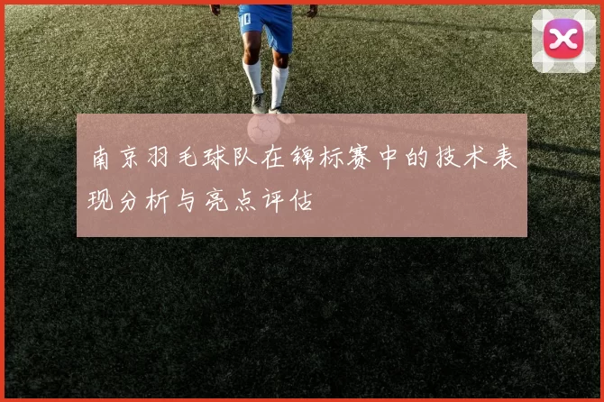 南京羽毛球队在锦标赛中的技术表现分析与亮点评估