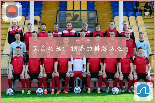 深度对话：杨磊的排球人生