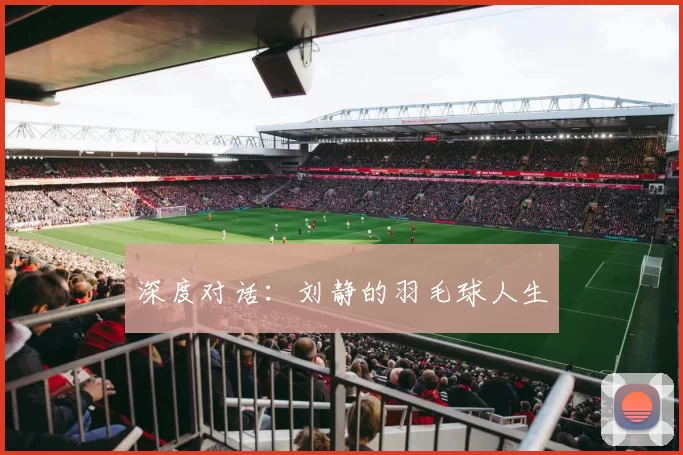 深度对话：刘静的羽毛球人生