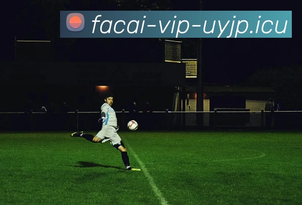 开云体育服务体系